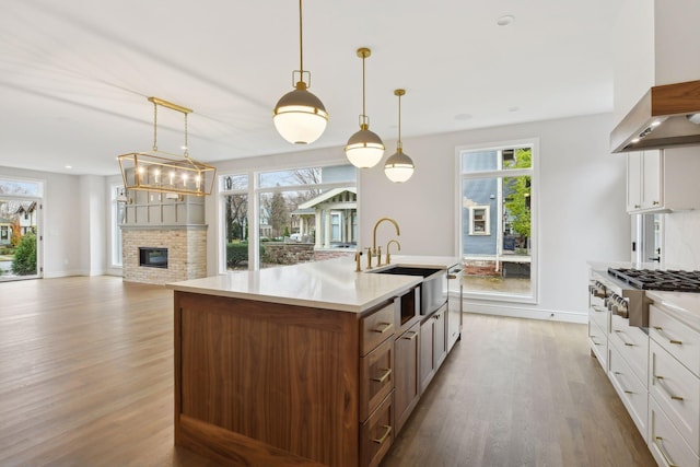 kitchen featuring pendant lighting, light wood-type flooring, island range hood, and a kitchen island with sink