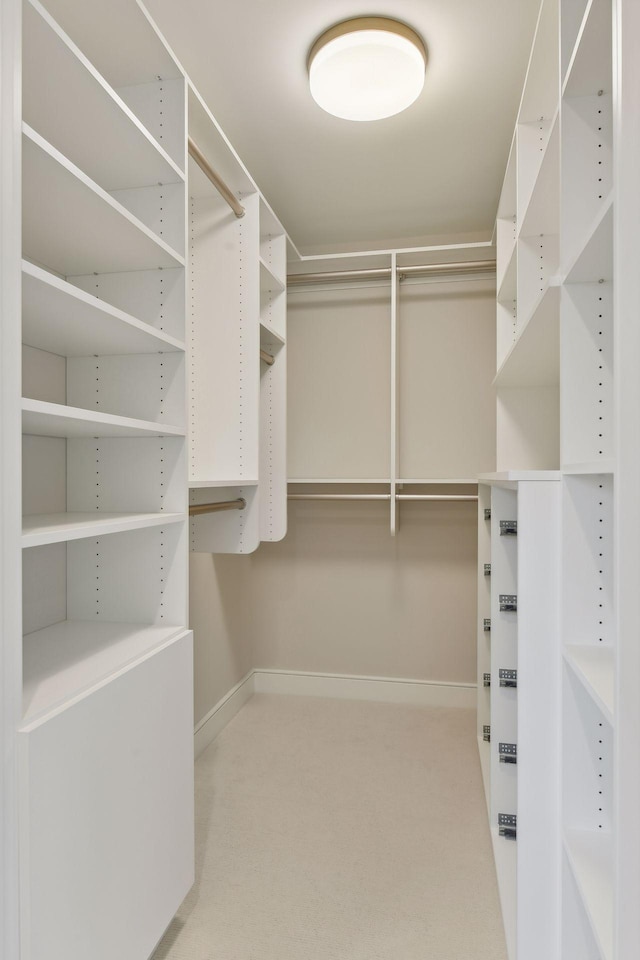 walk in closet with light carpet