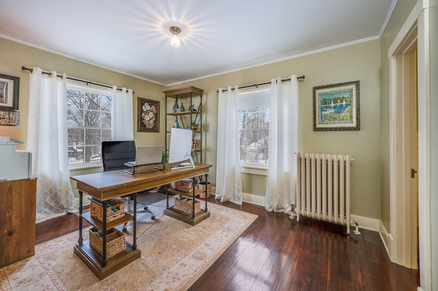 office with ornamental molding, radiator, baseboards, and hardwood / wood-style flooring