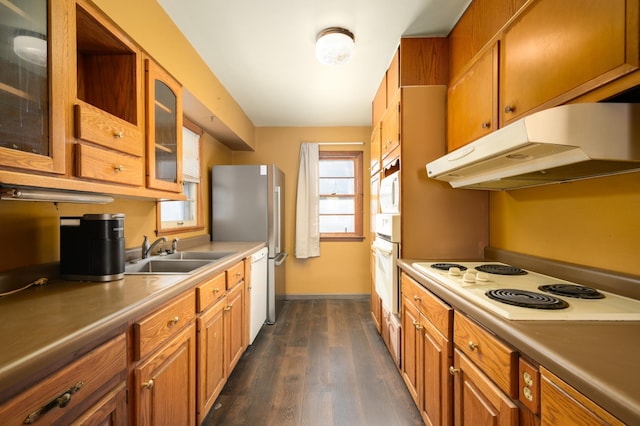 kitchen featuring dark hardwood / wood-style floors, white appliances, and sink