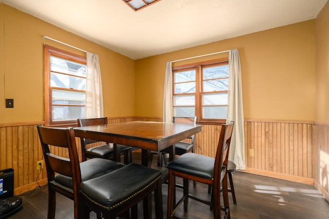 dining room featuring wooden walls, a wealth of natural light, and dark wood-type flooring