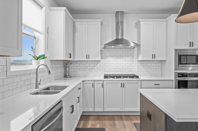 kitchen featuring white cabinetry, sink, wall chimney range hood, and stainless steel appliances