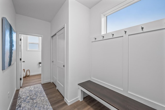 mudroom featuring dark hardwood / wood-style floors