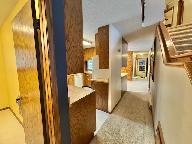 hall featuring light colored carpet and a textured ceiling