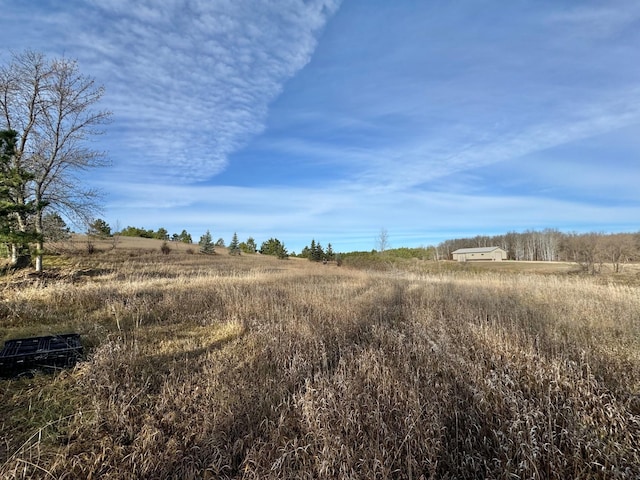 view of local wilderness with a rural view