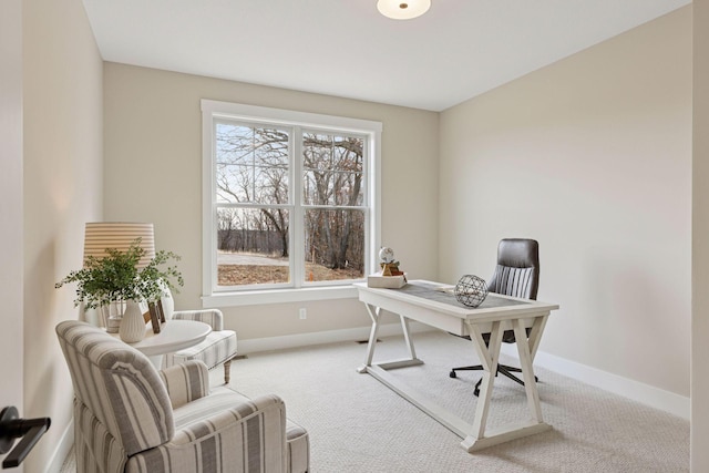 office space featuring carpet flooring and baseboards