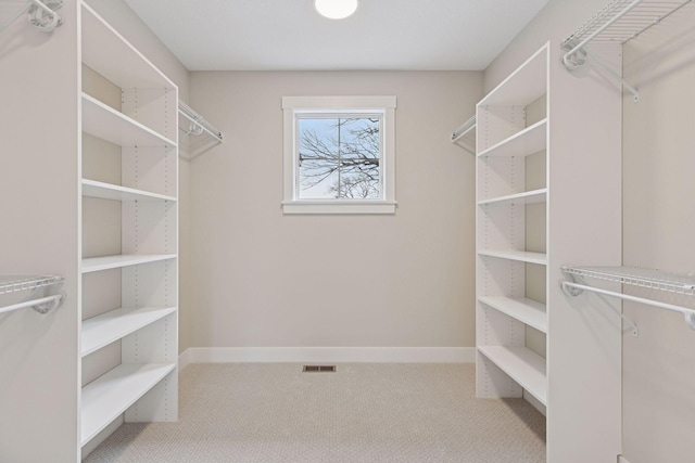 spacious closet featuring carpet floors and visible vents