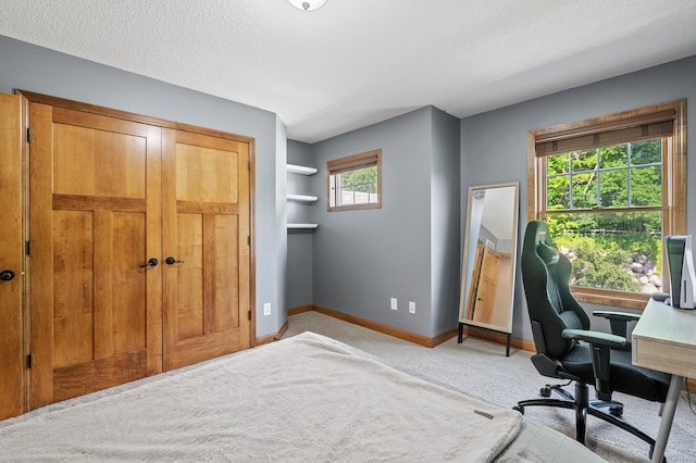 carpeted home office featuring a healthy amount of sunlight and a textured ceiling