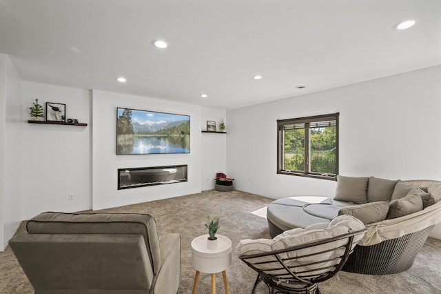 living room featuring carpet