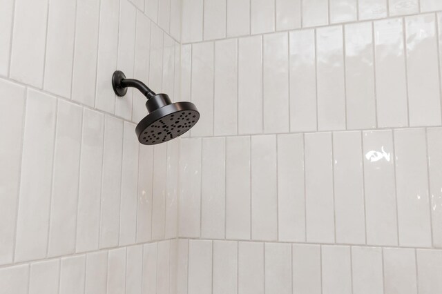 102 3rd Ave, Pelican Rapids, MN 56572 - bathroom view of a tile shower