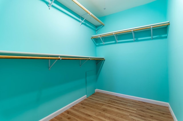 walk in closet featuring hardwood / wood-style floors