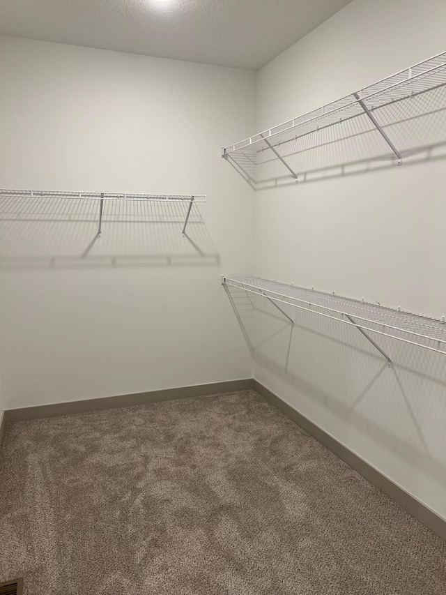 walk in closet featuring carpet floors