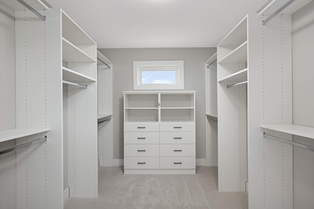 walk in closet with light colored carpet