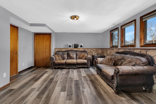 living room featuring hardwood / wood-style floors and a textured ceiling