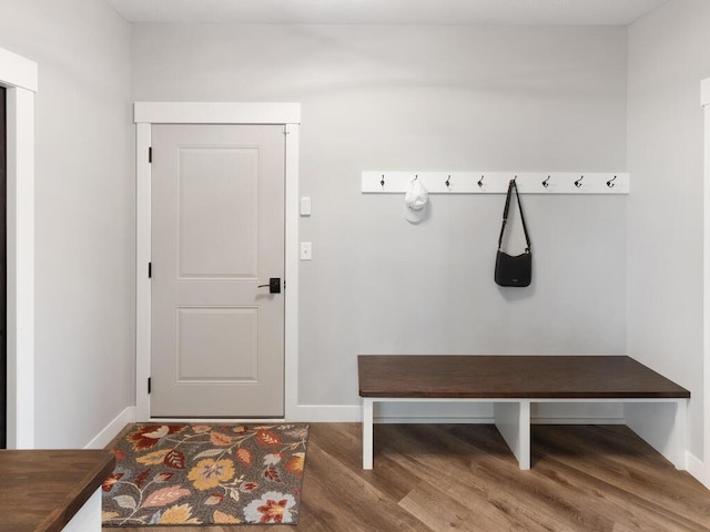 mudroom with hardwood / wood-style floors