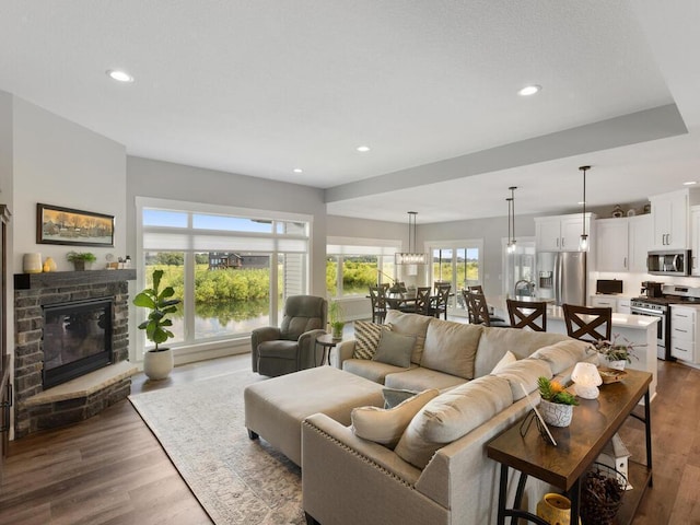 living room featuring a fireplace and wood-type flooring