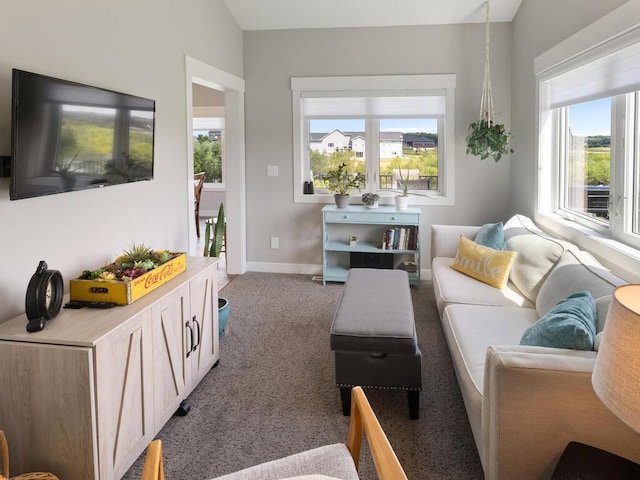 living room with dark colored carpet