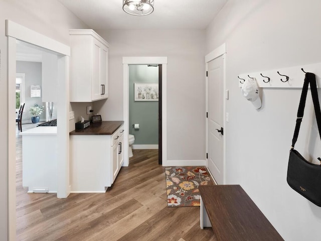 mudroom featuring light wood-type flooring