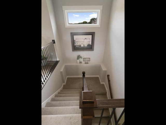 stairway with carpet floors