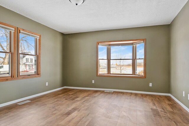 unfurnished room with light wood-type flooring, a textured ceiling, and a healthy amount of sunlight