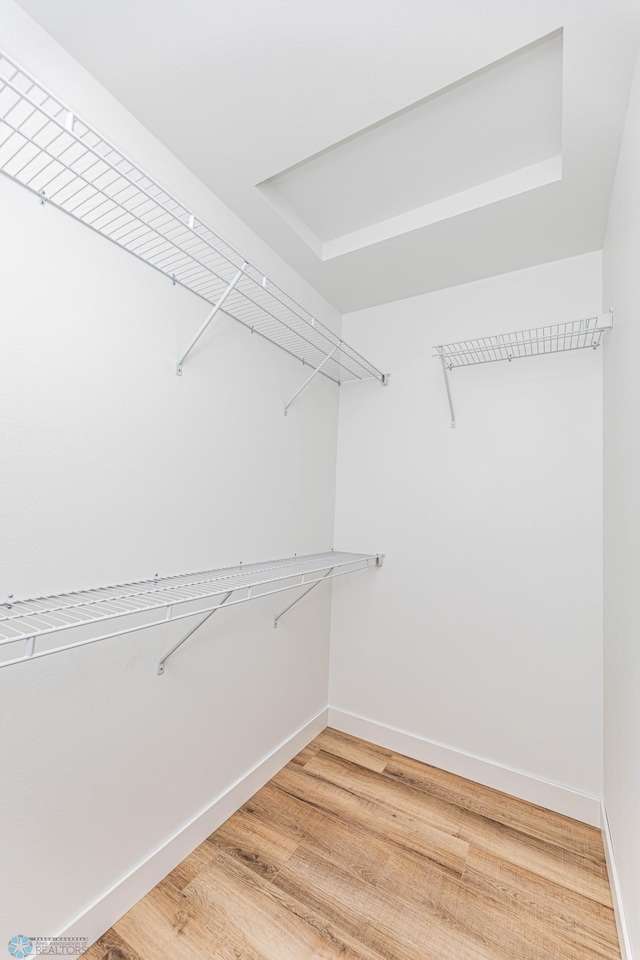 spacious closet featuring wood-type flooring