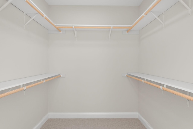 walk in closet with carpet