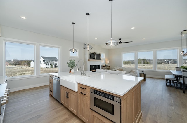 kitchen with a glass covered fireplace, light wood-style flooring, appliances with stainless steel finishes, and a sink