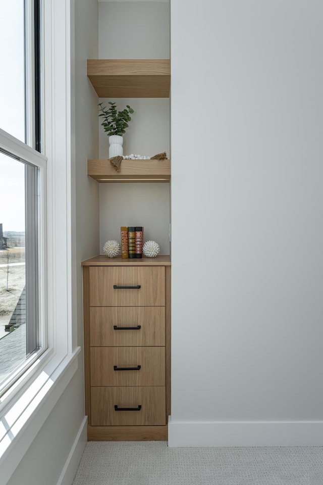 interior details with baseboards and carpet flooring