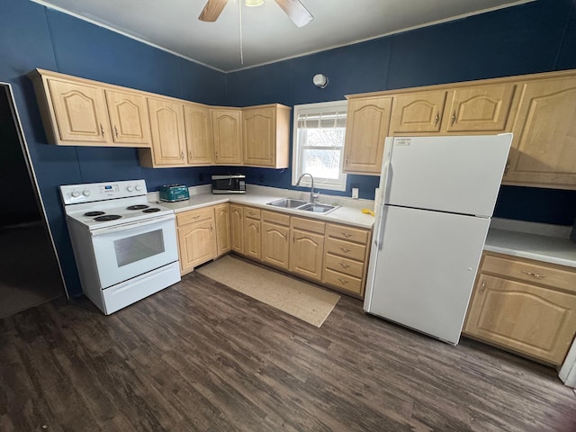 kitchen featuring ceiling fan, light brown cabinets, white appliances, and sink