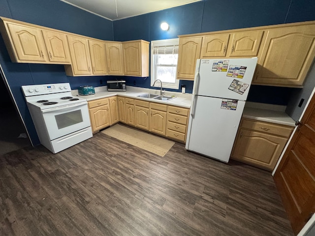 kitchen with light brown cabinetry, sink, dark wood-type flooring, and white appliances