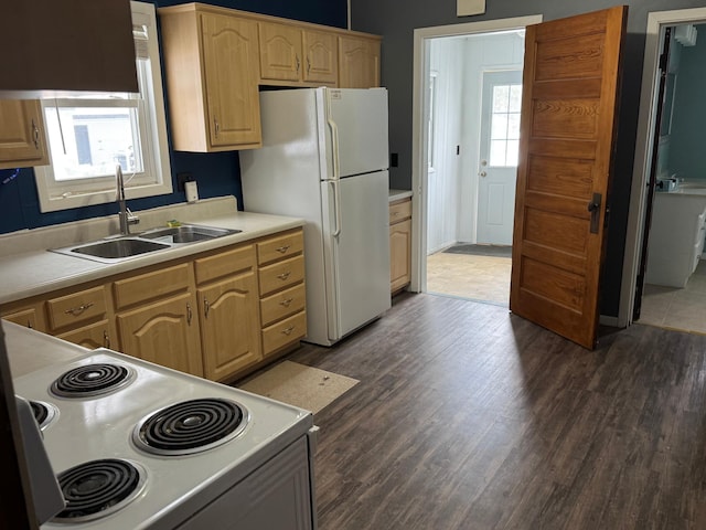 kitchen featuring stove, light brown cabinets, a wealth of natural light, and sink