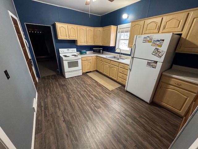 kitchen featuring light brown cabinets, white appliances, and sink