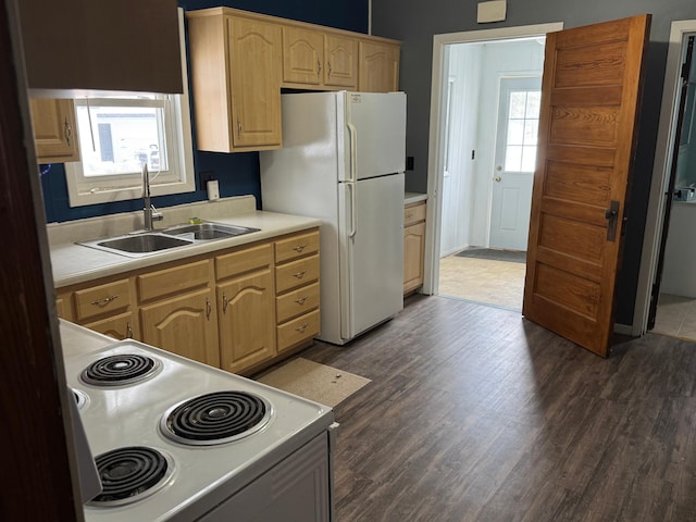 kitchen with light brown cabinets, stove, dark wood-type flooring, sink, and white fridge