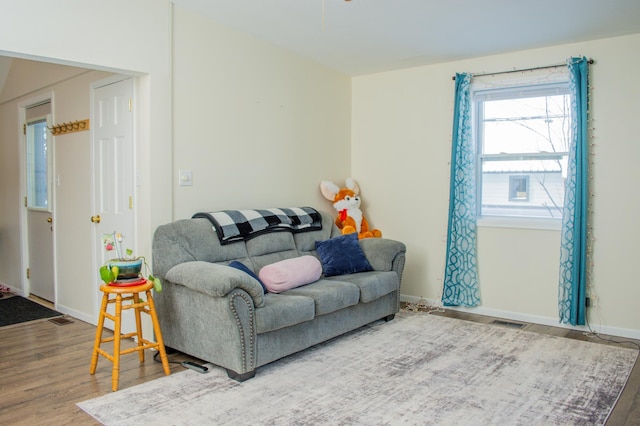 living room featuring hardwood / wood-style flooring