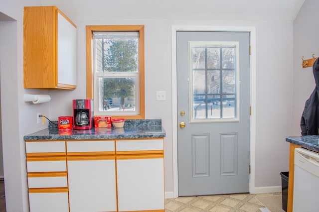 entryway with a healthy amount of sunlight