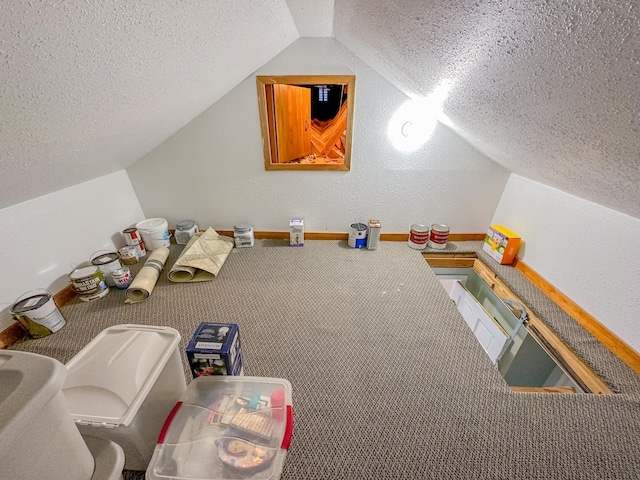 bonus room with carpet, a textured ceiling, and lofted ceiling