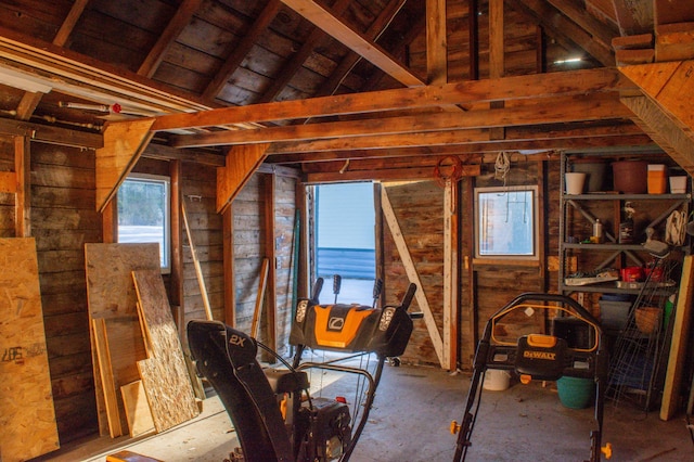 unfinished attic featuring a wealth of natural light