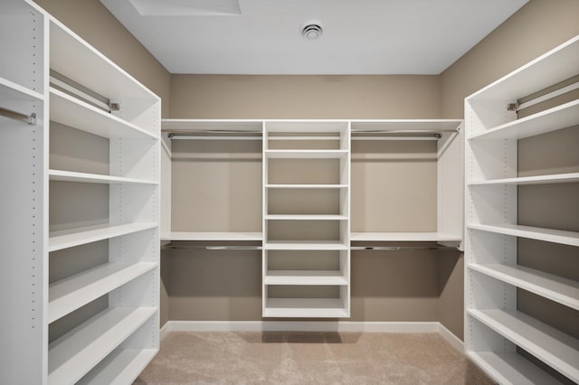 spacious closet with light colored carpet