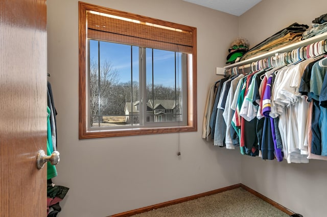 spacious closet with carpet