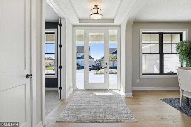 doorway featuring a raised ceiling, light hardwood / wood-style flooring, and a healthy amount of sunlight