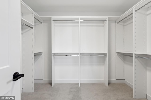 walk in closet with light colored carpet