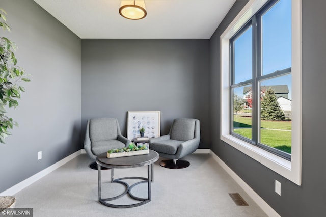 living area featuring carpet flooring