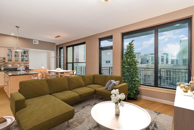 living room featuring light hardwood / wood-style floors