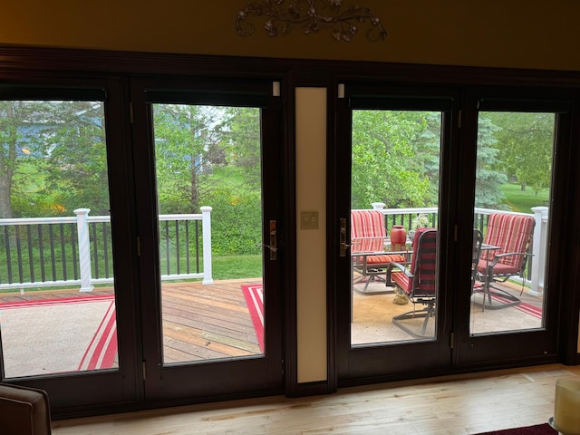 doorway to outside featuring light hardwood / wood-style flooring and plenty of natural light