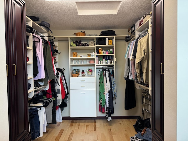 walk in closet with light wood-type flooring