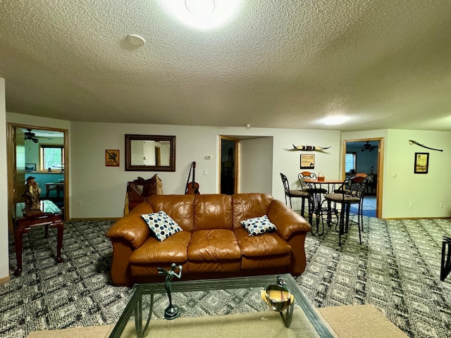 carpeted living room with a textured ceiling