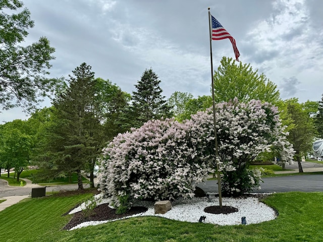 view of home's community with a yard