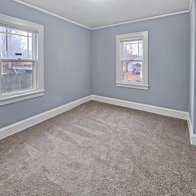 spare room with carpet, plenty of natural light, and crown molding