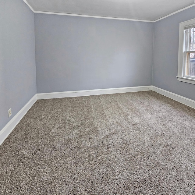 spare room with carpet flooring and ornamental molding