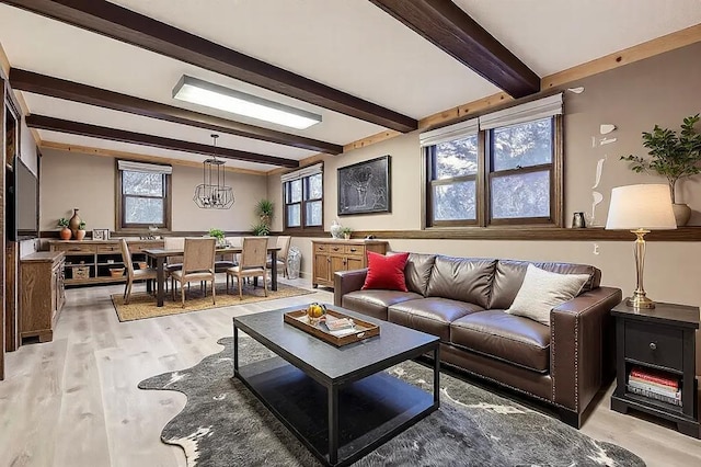 living room featuring beamed ceiling, plenty of natural light, a chandelier, and light wood-type flooring